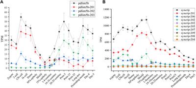 Temporal Dynamic Analysis of Alternative Splicing During Embryonic Development in Zebrafish